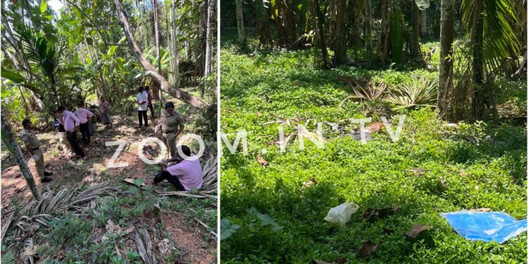 ಪುತ್ತೂರು: ಕೊಳೆತ ಸ್ಥಿತಿಯಲ್ಲಿ ಅಪರಿಚಿತ ವ್ಯಕ್ತಿಯ ಶವ ಪತ್ತೆ..!!!