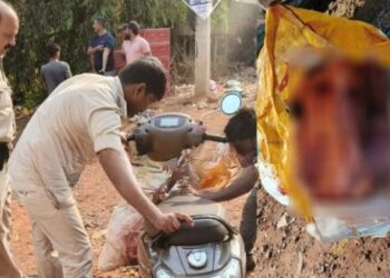ಮಂಗಳೂರು: ಸ್ಕೂಟರ್‌ನಲ್ಲಿ ಸಾಗಿಸುತ್ತಿದ್ದ ಅಕ್ರಮ ಗೋಮಾಂಸ ವಶ- ಸವಾರ ಪರಾರಿ