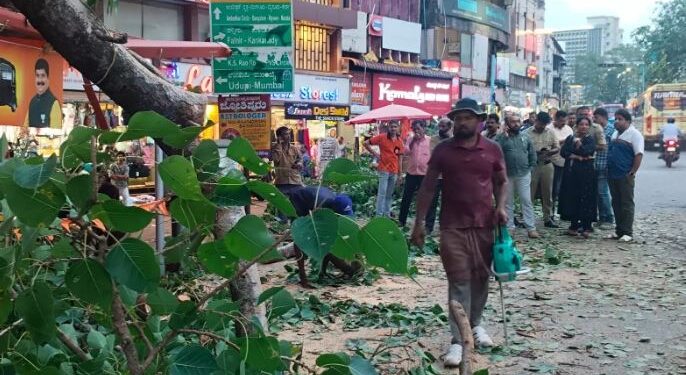 ಮಂಗಳೂರು : ಮರದ ಕೊಂಬೆ ಮುರಿದು ಬಿದ್ದು ಮೂವರಿಗೆ ಗಾಯ..!!!