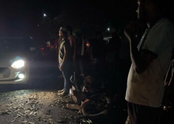 ಚಲಿಸುತ್ತಿದ್ದ ಬೈಕ್ ಮೇಲೆ ಮರ ಬಿದ್ದು ಯುವಕ ಮೃತ್ಯು…!!!!