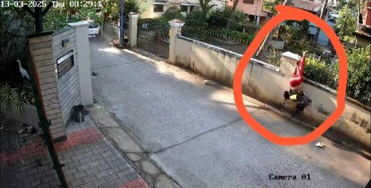 ಕಾರು ಗುದ್ದಿದ ರಭಸಕ್ಕೆ ಕಾಂಪೌಂಡ್ ಮೇಲೆ ನೇತಾಡಿದ ಮಹಿಳೆ: ಎದೆ ಝಲ್ ಎನಿಸುವ ದೃಶ್ಯ..!!