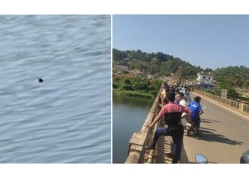 ಉಪ್ಪಿನಂಗಡಿ ನದಿಯಲ್ಲಿ ಶವ ಪತ್ತೆ ..!!!!