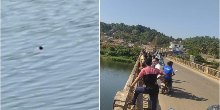 ಉಪ್ಪಿನಂಗಡಿ ನದಿಯಲ್ಲಿ ಶವ ಪತ್ತೆ ..!!!!