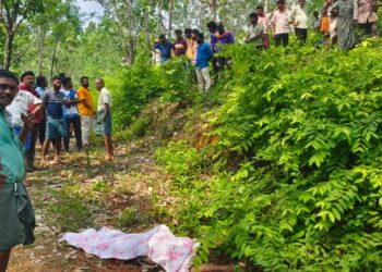 ಪುತ್ತೂರು: ಕಾಡಾನೆ ದಾಳಿ: ಮಹಿಳೆ ಮೃತ್ಯು..!!!