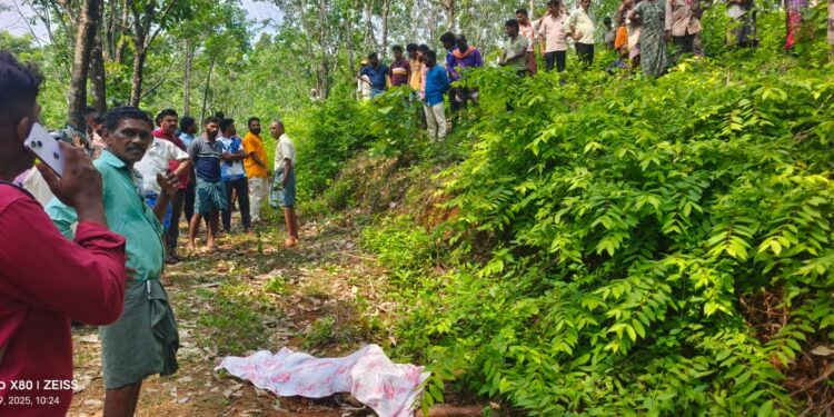 ಪುತ್ತೂರು: ಕಾಡಾನೆ ದಾಳಿ: ಮಹಿಳೆ ಮೃತ್ಯು..!!!