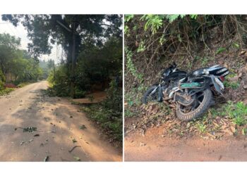 ಪುತ್ತೂರು: ಮರದ ಗೆಲ್ಲು ಬಿದ್ದು ಬೈಕ್ ಸವಾರನಿಗೆ ಗಾಯ..!!!