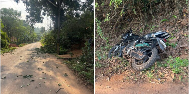 ಪುತ್ತೂರು: ಮರದ ಗೆಲ್ಲು ಬಿದ್ದು ಬೈಕ್ ಸವಾರನಿಗೆ ಗಾಯ..!!!