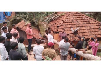 ಪುತ್ತೂರು: ಗಾಳಿ ಮಳೆಗೆ ತೆಂಗಿನ ಮರ ಬಿದ್ದು ಮನೆಗೆ ಹಾನಿ.!!