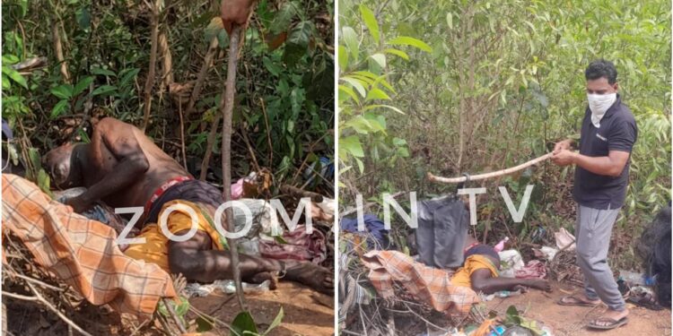 ವಿಟ್ಲ: ಗುಡ್ಡೆಯಲ್ಲಿ ವ್ಯಕ್ತಿಯ ಶವ ಪತ್ತೆ..!!