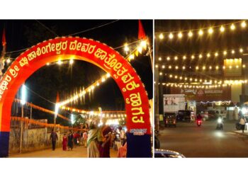 ಪುತ್ತೂರು ಜಾತ್ರೆ | ಪೇಟೆಯುದ್ದಕ್ಕೂ ವಿಹಿಂಪ ವತಿಯಿಂದ ದೀಪಾಲಂಕಾರ …!!!!!