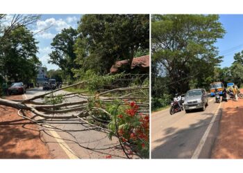 ಪುತ್ತೂರು: ಮರ ಬಿದ್ದು ವಿದ್ಯುತ್ ತಂತಿಗೆ ಹಾನಿ ..!!