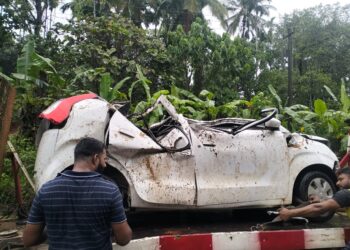 ಚಲಿಸುತ್ತಿದ್ದ ಕಾರಿಗೆ ಬಿದ್ದ ಮರ…!!!!!
