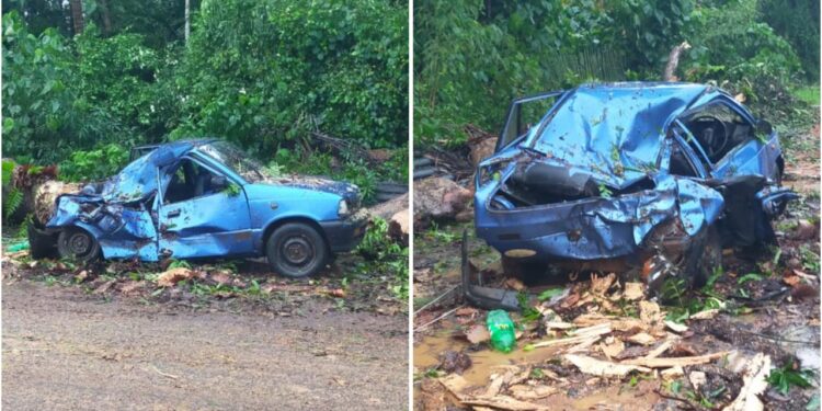 ಉಪ್ಪಿನಂಗಡಿ : ಮರ ಬಿದ್ದು, ಕಾರು ಜಖಂ, 3 ಮಂದಿ ಅಪಾಯದಿಂದ ಪಾರು..!!