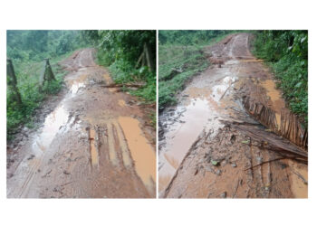 ಪಡ್ಕೆತ್ತೂರು -ಮದಕ ರಸ್ತೆ ಸ್ಥಿತಿ ಶೋಚನೀಯ..!!