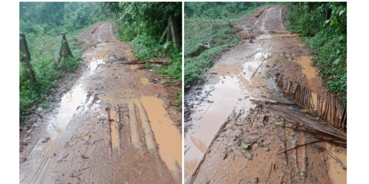 ಪಡ್ಕೆತ್ತೂರು -ಮದಕ ರಸ್ತೆ ಸ್ಥಿತಿ ಶೋಚನೀಯ..!!