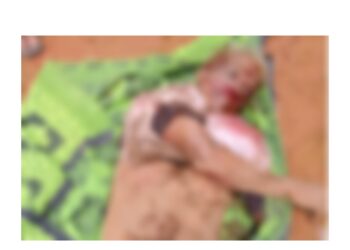 ಕೊಕ್ಕಡ: ಬೆಳ್ಳಂಬೆಳ್ಳಗೆ ಕಾಡಾನೆಗಳು ಪ್ರತ್ಯಕ್ಷ: ಆನೆ ತಿವಿದು ವ್ಯಕ್ತಿ ಸಾವು…!!