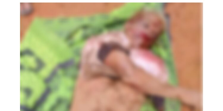 ಕೊಕ್ಕಡ: ಬೆಳ್ಳಂಬೆಳ್ಳಗೆ ಕಾಡಾನೆಗಳು ಪ್ರತ್ಯಕ್ಷ: ಆನೆ ತಿವಿದು ವ್ಯಕ್ತಿ ಸಾವು…!!