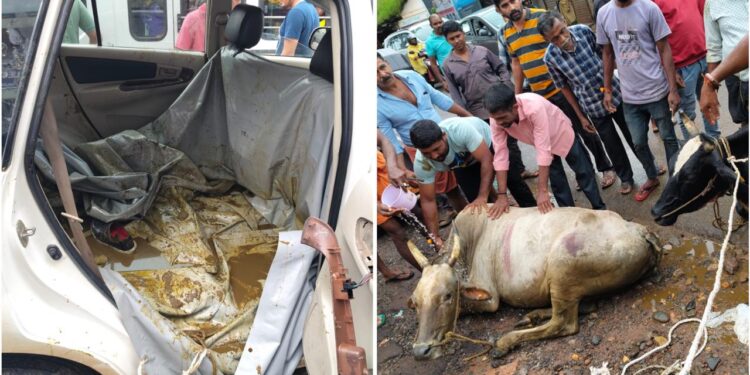 ಗುರುವಾಯನಕೆರೆ: ನಕಲಿ ನಂಬರ್ ಪ್ಲೇಟ್ ಬಳಸಿ ಕಾರಿನಲ್ಲಿ ಅಕ್ರಮ ಗೋ ಸಾಗಾಟ- ಓರ್ವ ಬಂಧನ- ಪೊಲೀಸರಿಗೆ ಹಲ್ಲೆ ನಡೆಸಿ ಇಬ್ಬರು ಪರಾರಿ..!!