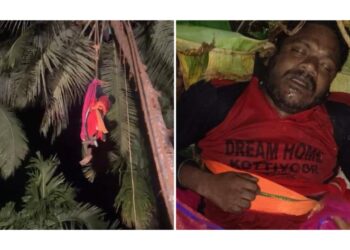 ಶೇಂದಿ ಇಳಿಸಲು ತೆಂಗಿನ ಮರವೇರಿದ್ದ ವ್ಯಕ್ತಿ ಮರದಲ್ಲೇ ಮೃತ್ಯು..!!