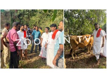 ಪುತ್ತೂರು: ಗಡಿಪಿಲ ಬಳಿ ಹಸುಗಳನ್ನು ಇಳಿಸಿ ಪರಾರಿ : ಕದ್ದು ತಂದಿರುವ ಸಂಶಯ: ಸೂಕ್ತ ಕ್ರಮಕ್ಕೆ ಪುತ್ತಿಲ ಪರಿವಾರ ಆಗ್ರಹ..!!