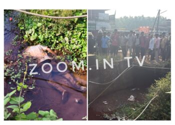 ವಿಟ್ಲ: ಕೆ ಎಸ್ ಆರ್ ಟಿ ಸಿ ಬಸ್ ನಿಲ್ದಾಣದ ಬಳಿ ಚರಂಡಿಯಲ್ಲಿ ಮೃತದೇಹ ಪತ್ತೆ…!!!