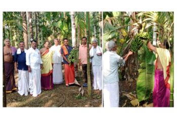 ಪಾಲಿಂಜೆ ಶ್ರೀ ಮಹಾವಿಷ್ಣುಮೂರ್ತಿ ದೇವಸ್ಥಾದ ವರ್ಷಾವಧಿ ಜಾತ್ರೋತ್ಸವ, ಶ್ರೀ ಧರ್ಮದೈವಗಳ ನೇಮೋತ್ಸವ-ಗೊನೆ ಮುಹೂರ್ತ…!!!