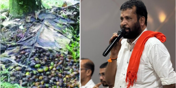 ಕೊಳೆರೋಗದಿಂದ ನಷ್ಟಕ್ಕೆ ಒಳಗಾದ ಅಡಿಕೆ ಬೆಳೆಗಾರರಿಗೆ ಸೂಕ್ತ ರೀತಿಯಲ್ಲಿ ವಿಮಾ ಹಣ ವಿತರಣೆಯಾಗಬೇಕು – ಅರುಣ್ ಕುಮಾರ್ ಪುತ್ತಿಲ..!