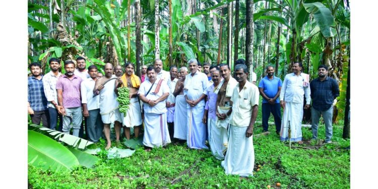 ವಿಟ್ಲ: ಶ್ರೀ ಪಂಚಲಿಂಗೇಶ್ವರ ದೇವಸ್ಥಾನದ ಕಾಲಾವಧಿ ಜಾತ್ರೆಗೆ ಗೊನೆ ಮುಹೂರ್ತ..!!