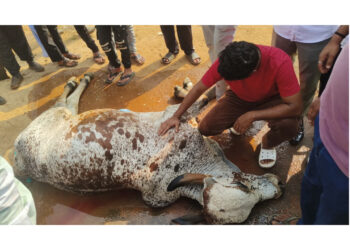 ಕುವೆಟ್ಟಿನ ಎಲ್ಲರ ಪ್ರೀತಿಯ ಮುನ್ನಾ ಗೂಡ್ಸ್ ರಿಕ್ಷಾ ಡಿಕ್ಕಿ ಹೊಡೆದು ಮೃತ್ಯು..!!