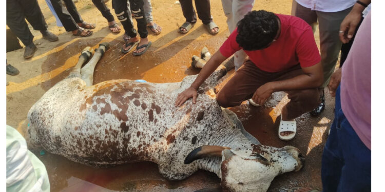 ಕುವೆಟ್ಟಿನ ಎಲ್ಲರ ಪ್ರೀತಿಯ ಮುನ್ನಾ ಗೂಡ್ಸ್ ರಿಕ್ಷಾ ಡಿಕ್ಕಿ ಹೊಡೆದು ಮೃತ್ಯು..!!