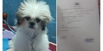 ಪುತ್ತೂರು: ನಾಯಿ ಕಾಣೆ: ಪ್ರಕರಣ ದಾಖಲು…!!