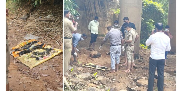 ಮಾಡಾವು ಹೊಳೆಗೆ ಪ್ರಾಣಿ ತ್ಯಾಜ್ಯ ಎಸೆತ : ಕೆಯ್ಯೂರು ಗ್ರಾಪಂ ಅಧ್ಯಕ್ಷರಿಂದ ಪೊಲೀಸ್‌ ದೂರು..!!