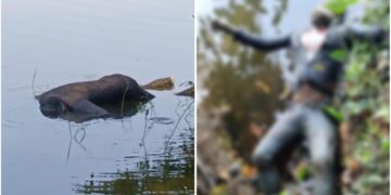 ಉಪ್ಪಿನಂಗಡಿ: ನದಿಯಲ್ಲಿ ಅಪರಿಚಿತ ಶವ ಪತ್ತೆ..!!