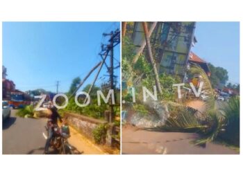 ಪುತ್ತೂರು: ರಸ್ತೆಗೆ ಬಿದ್ದ ತೆಂಗಿನ ಮರ: ವಿದ್ಯುತ್ ತಂತಿಗೆ ಹಾನಿ..!!