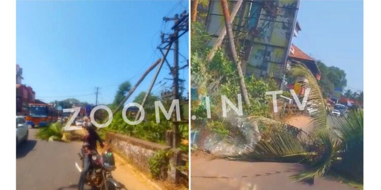 ಪುತ್ತೂರು: ರಸ್ತೆಗೆ ಬಿದ್ದ ತೆಂಗಿನ ಮರ: ವಿದ್ಯುತ್ ತಂತಿಗೆ ಹಾನಿ..!!