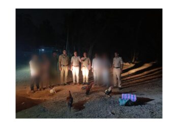 ಉಪ್ಪಿನಂಗಡಿ: ಆಕ್ರಮ ಕೋಳಿ ಅಂಕದ ಮೇಲೆ ದಾಳಿ – ಮೂವರು ವಶಕ್ಕೆ..!!