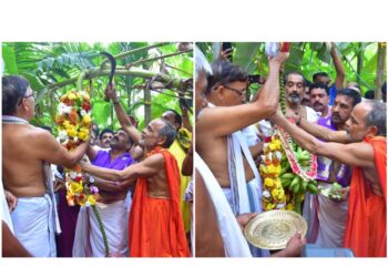 ಪುತ್ತೂರು ಜಾತ್ರೆಗೆ ಗೊನೆ ಮುಹೂರ್ತ..!!