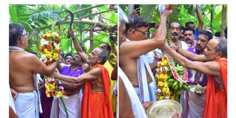 ಪುತ್ತೂರು ಜಾತ್ರೆಗೆ ಗೊನೆ ಮುಹೂರ್ತ..!!