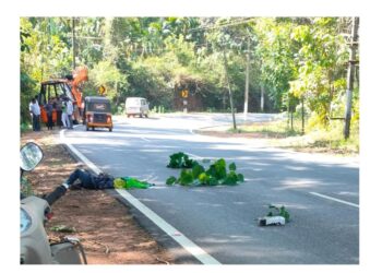 ಕ್ರೇನ್ ಡಿಕ್ಕಿಯಾಗಿ ಪಾದಚಾರಿ ಸಾವು..!!