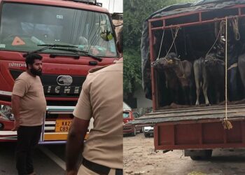 ಅಕ್ರಮವಾಗಿ ಸಾಗಿಸುತ್ತಿದ್ದ 27 ಕೋಣಗಳ ರಕ್ಷಣೆ: ವಾಹನ ವಶ..!!