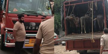 ಅಕ್ರಮವಾಗಿ ಸಾಗಿಸುತ್ತಿದ್ದ 27 ಕೋಣಗಳ ರಕ್ಷಣೆ: ವಾಹನ ವಶ..!!