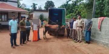 ವಿಟ್ಲ: ಅಕ್ರಮ ಗೋಸಾಗಣೆ ಪತ್ತೆ: ಇಬ್ಬರ ವಿರುದ್ಧ ಪ್ರಕರಣ ದಾಖಲು..!!