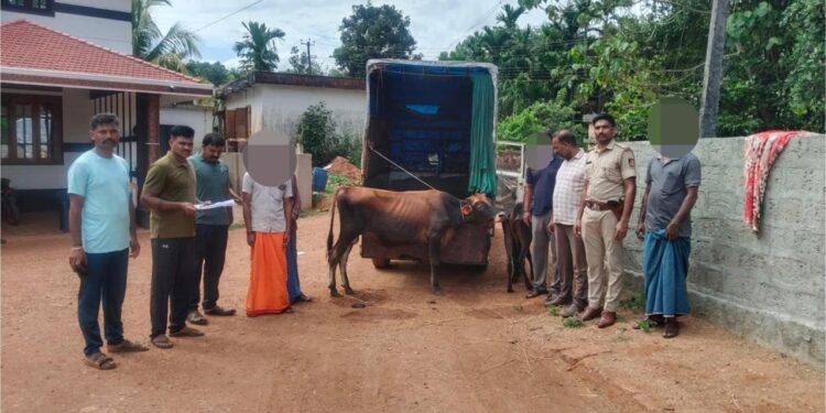 ವಿಟ್ಲ: ಅಕ್ರಮ ಗೋಸಾಗಣೆ ಪತ್ತೆ: ಇಬ್ಬರ ವಿರುದ್ಧ ಪ್ರಕರಣ ದಾಖಲು..!!