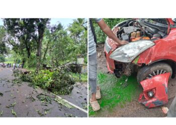 ವಿಟ್ಲ: ಚಲಿಸುತ್ತಿದ್ದ ಕಾರಿನ ಮೇಲೆ ಬಿದ್ದ ಮರ ಮತ್ತು ವಿದ್ಯುತ್ ಕಂಬ..!!