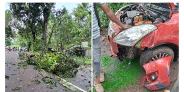 ವಿಟ್ಲ: ಚಲಿಸುತ್ತಿದ್ದ ಕಾರಿನ ಮೇಲೆ ಬಿದ್ದ ಮರ ಮತ್ತು ವಿದ್ಯುತ್ ಕಂಬ..!!