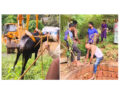43 ಅಡಿ ಆಳದ ಬಾವಿಗೆ ಬಿದ್ದ ಗರ್ಭಿಣಿ ಹಸು: 5 ಗಂಟೆಗಳ ರೋಚಕ ರಕ್ಷಣಾ ಕಾರ್ಯಾಚರಣೆ: ಫ್ರೆಂಡ್ಸ್ ವಿಟ್ಲ ತಂಡದ ಸಾಹಸಕ್ಕೆ ಶಹಬ್ಬಾಸ್..!