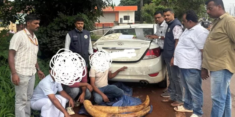 ಮಂಗಳೂರು: ಆನೆದಂತ ಮಾರಾಟ ಯತ್ನ: ಮೂವರು ಬಂಧನ…!!