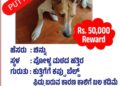 ಪುತ್ತೂರು : ಸಾಕು ನಾಯಿ ಚಿನ್ನು ಕಾಣೆ; ಹುಡುಕಿಕೊಟ್ಟವರಿಗೆ ₹50 ಸಾವಿರ ನೀಡುವ ಘೋಷಣೆ..!!