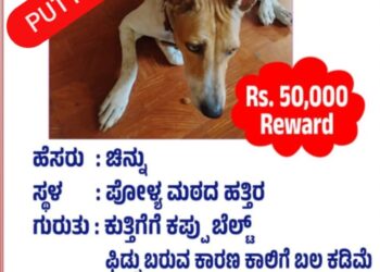 ಪುತ್ತೂರು : ಸಾಕು ನಾಯಿ ಚಿನ್ನು ಕಾಣೆ; ಹುಡುಕಿಕೊಟ್ಟವರಿಗೆ ₹50 ಸಾವಿರ ನೀಡುವ ಘೋಷಣೆ..!!