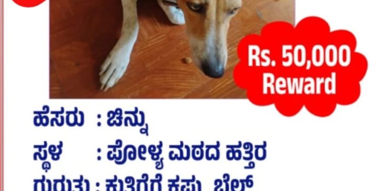ಪುತ್ತೂರು : ಸಾಕು ನಾಯಿ ಚಿನ್ನು ಕಾಣೆ; ಹುಡುಕಿಕೊಟ್ಟವರಿಗೆ ₹50 ಸಾವಿರ ನೀಡುವ ಘೋಷಣೆ..!!